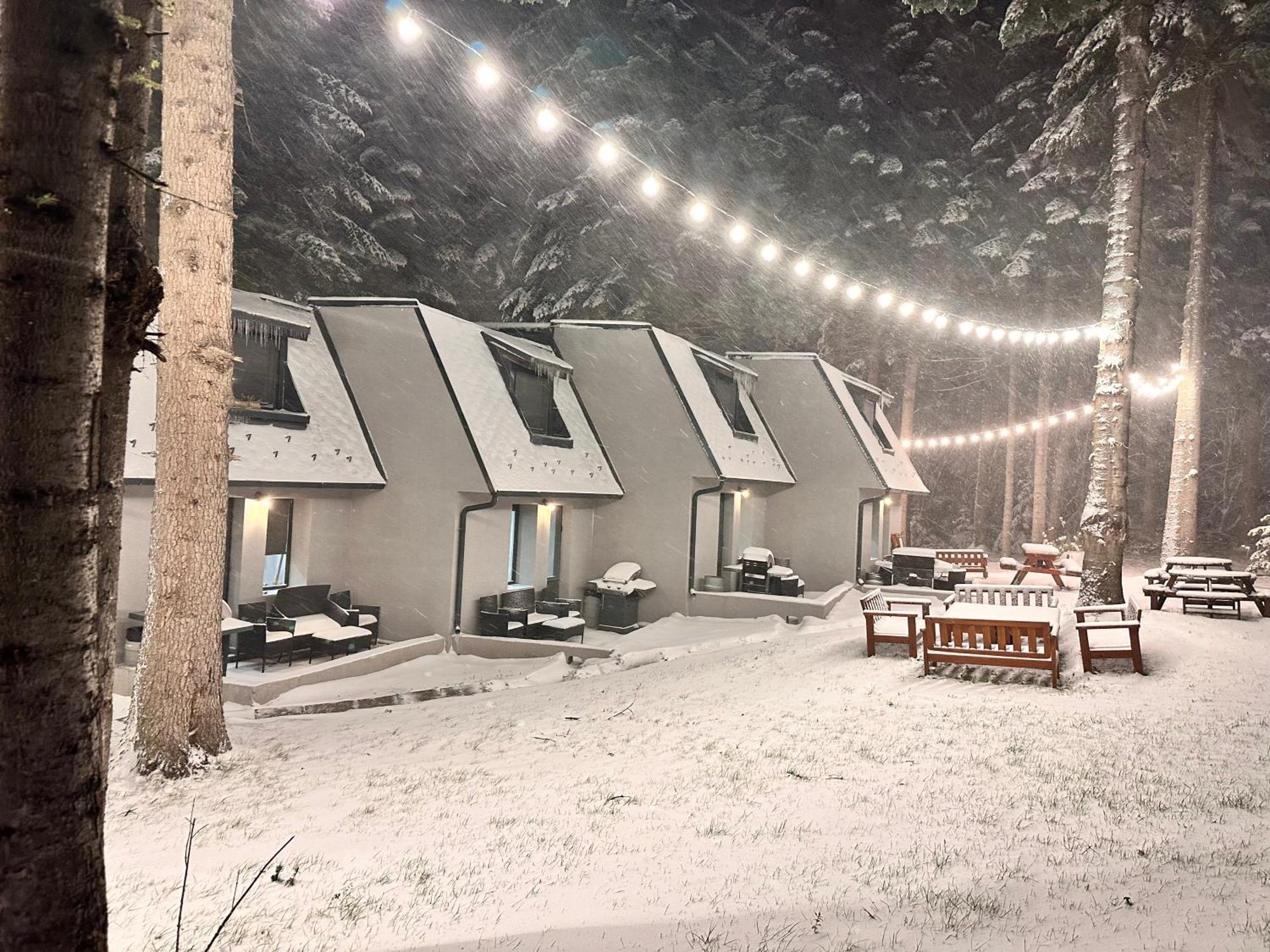Boro Green Holiday Village Borovets Exterior photo