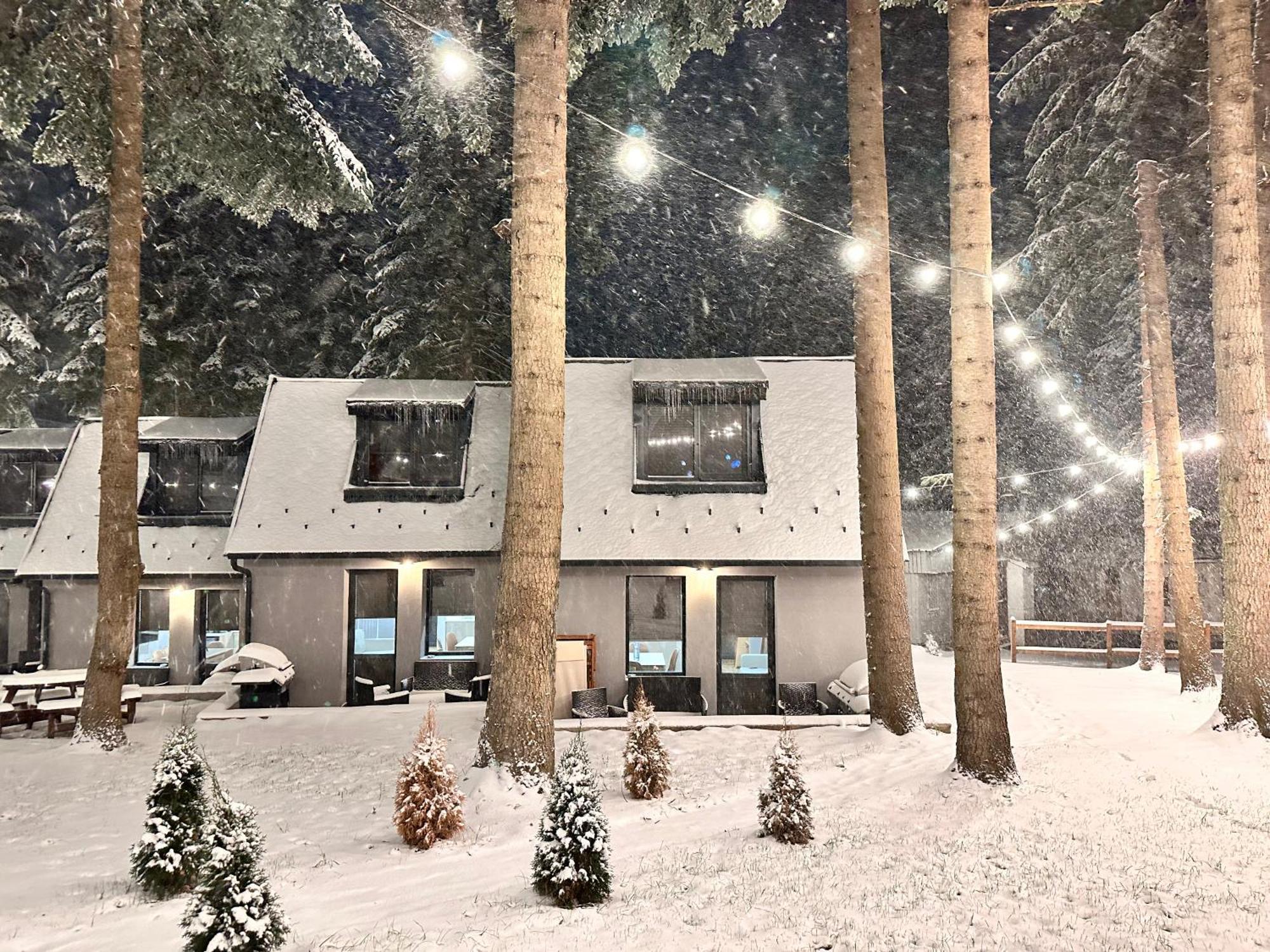 Boro Green Holiday Village Borovets Exterior photo